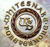 whitesnake_forevermore_sp02.jpg (29996 bytes)